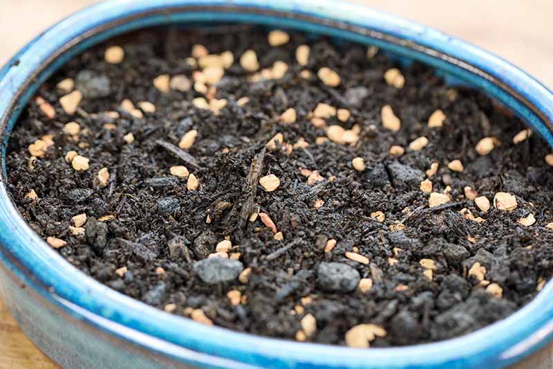 Bonsai Grond 2kg