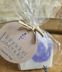 Lavender Seep