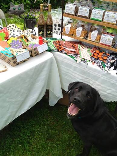 Dog Treats