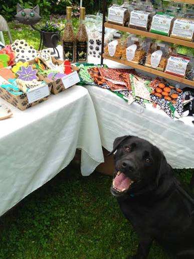 Dog Treats
