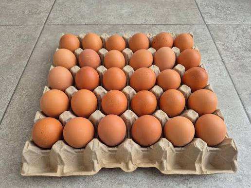 Plaas Eiers