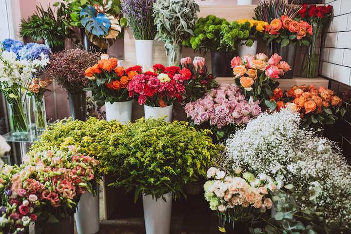 Plaas Blomme